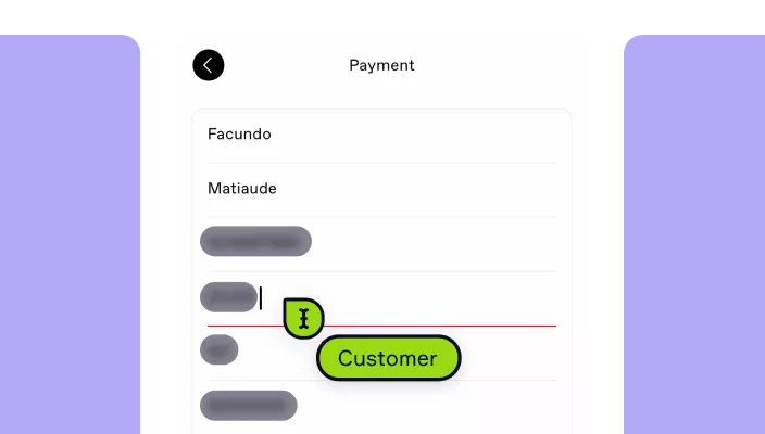A payment screen with text inputs, some of them redacted