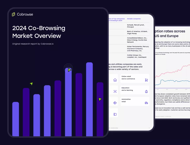 2024 Cobrowsing Market Overview